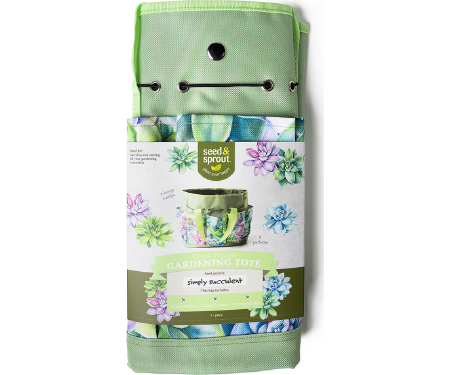 D37 SNSBAG2SC